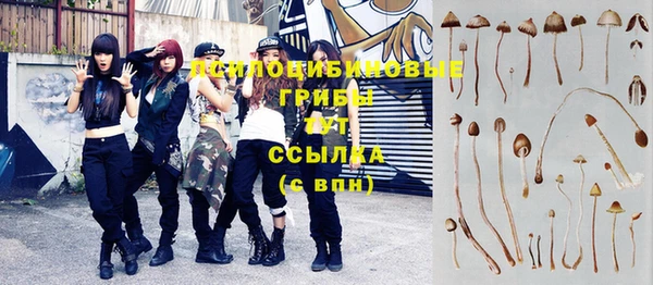 MESCALINE Майский