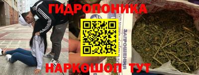 дмт Будённовск
