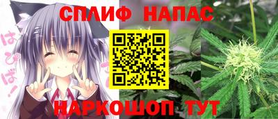 прущие грибы Балаково