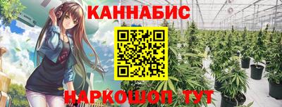 дмт Будённовск