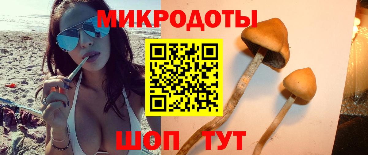 Кропоткин  Галлюциногенные грибы GOLDEN TEACHER  Вход с VPN 