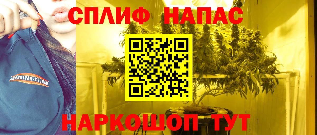 Конопля Amnesia Кропоткин